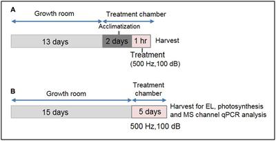 Expression Analysis of Sound Vibration-Regulated Genes by Touch Treatment in Arabidopsis